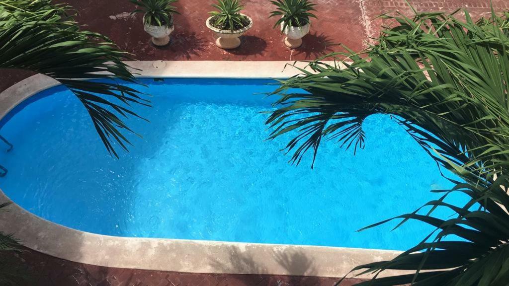 Arcoiris Share Apartment Bavaro Punta Cana Esterno foto